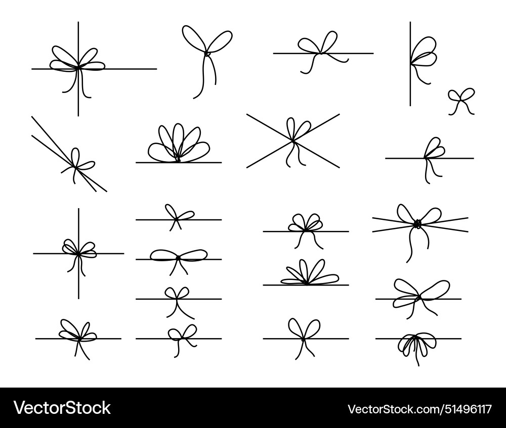 Elegant Bow Knot String Set vector image