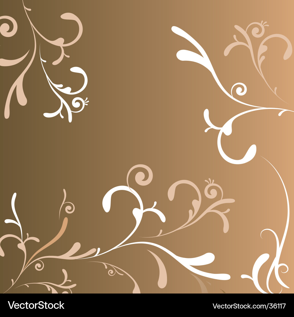 Floral Scroll Pattern vector image