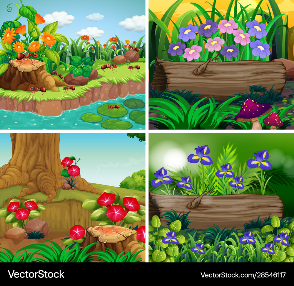 Set background scene with nature theme Set background scene with nature theme vector image