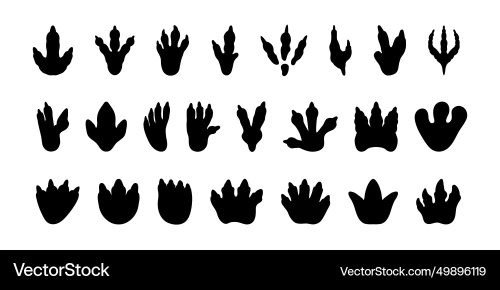 Dinosaur Footprint - Fossil Print vector image