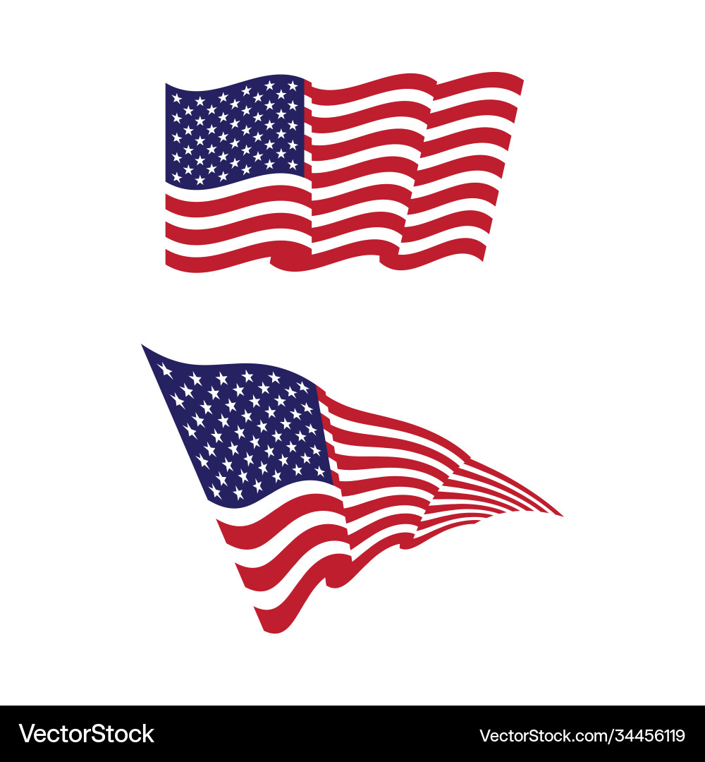 Flag american icon Flag american icon vector image
