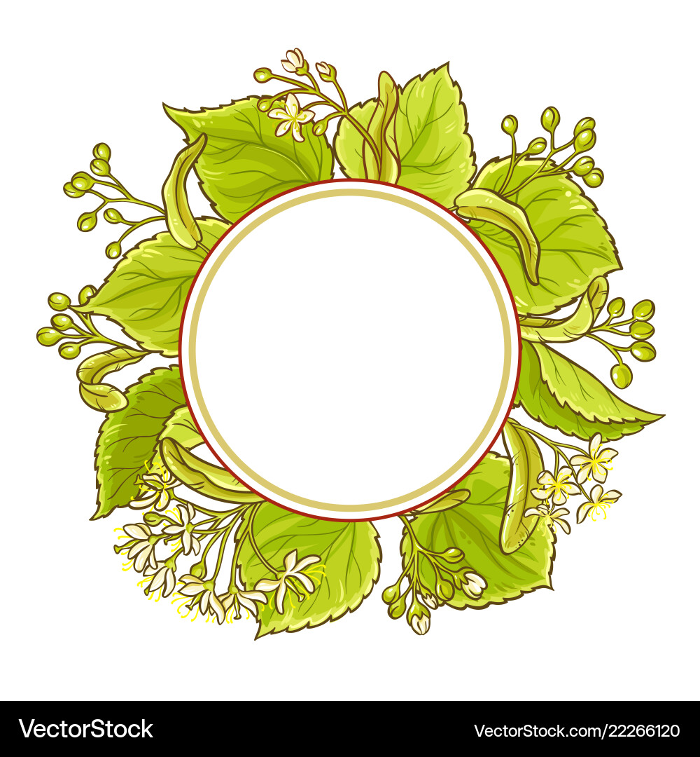 Linden frame Royalty Free Vector Image - VectorStock