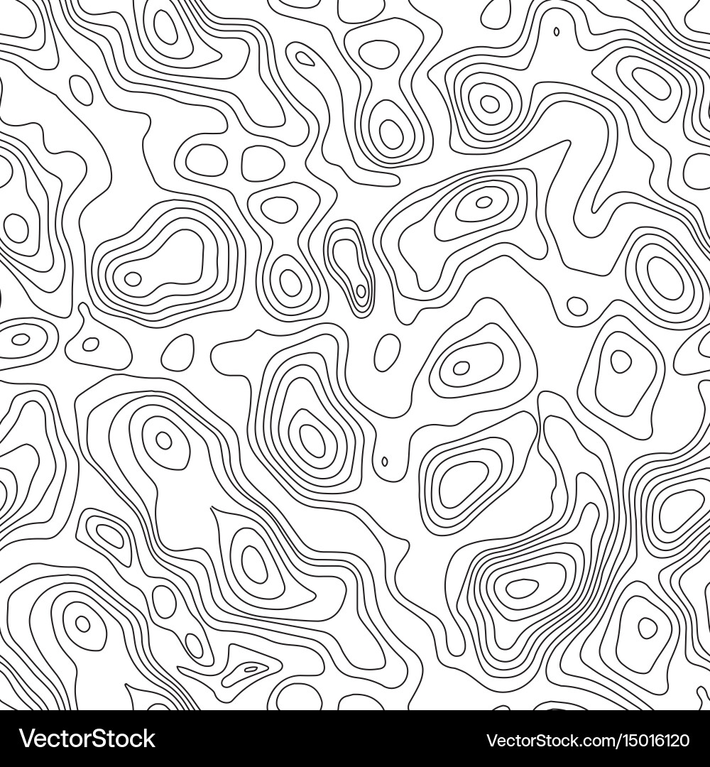 Topographic Contour Map Seamless Pattern vector image