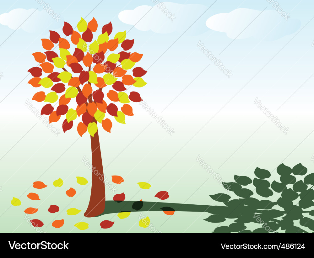 Tree vector image