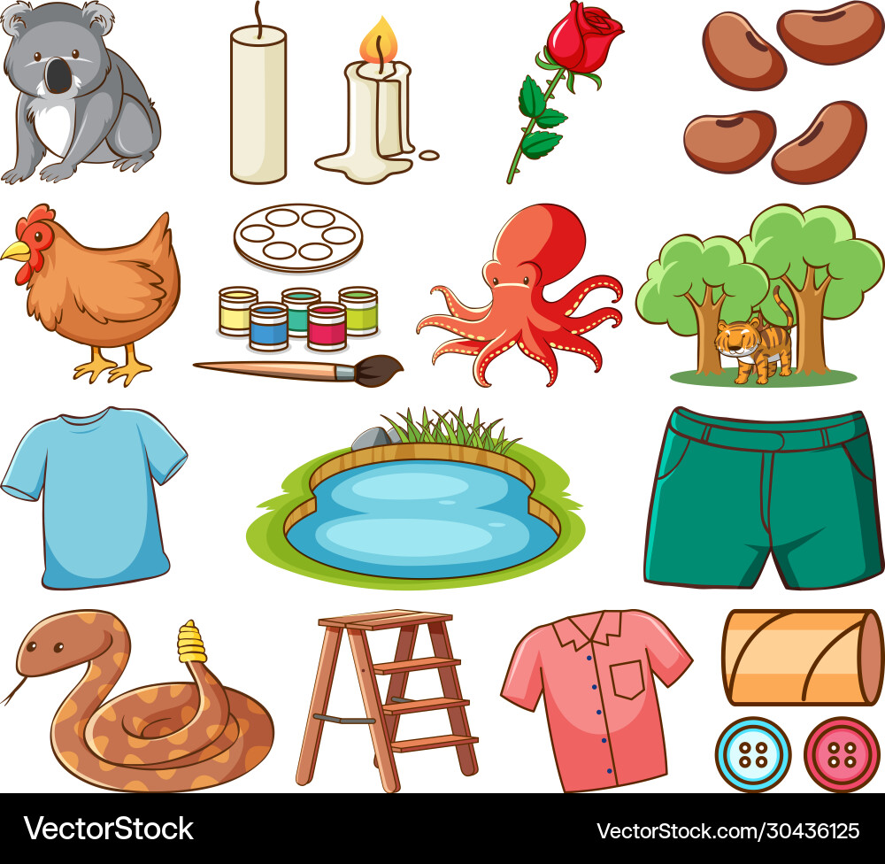 Large set different animals and other objects Large set different animals and other objects vector image