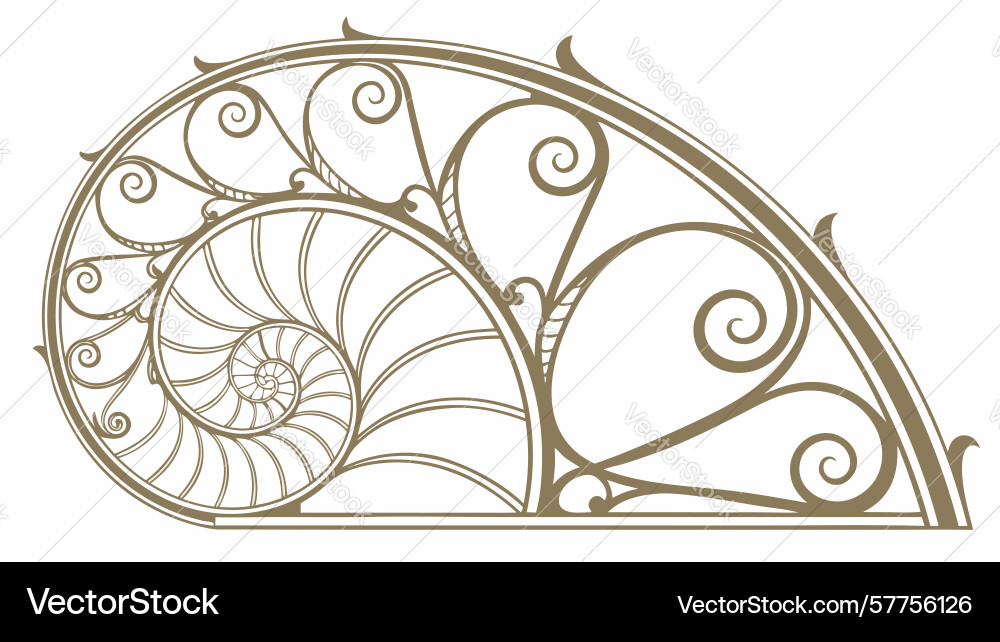 Fibonacci spiral scroll ornament abstract growth vector image