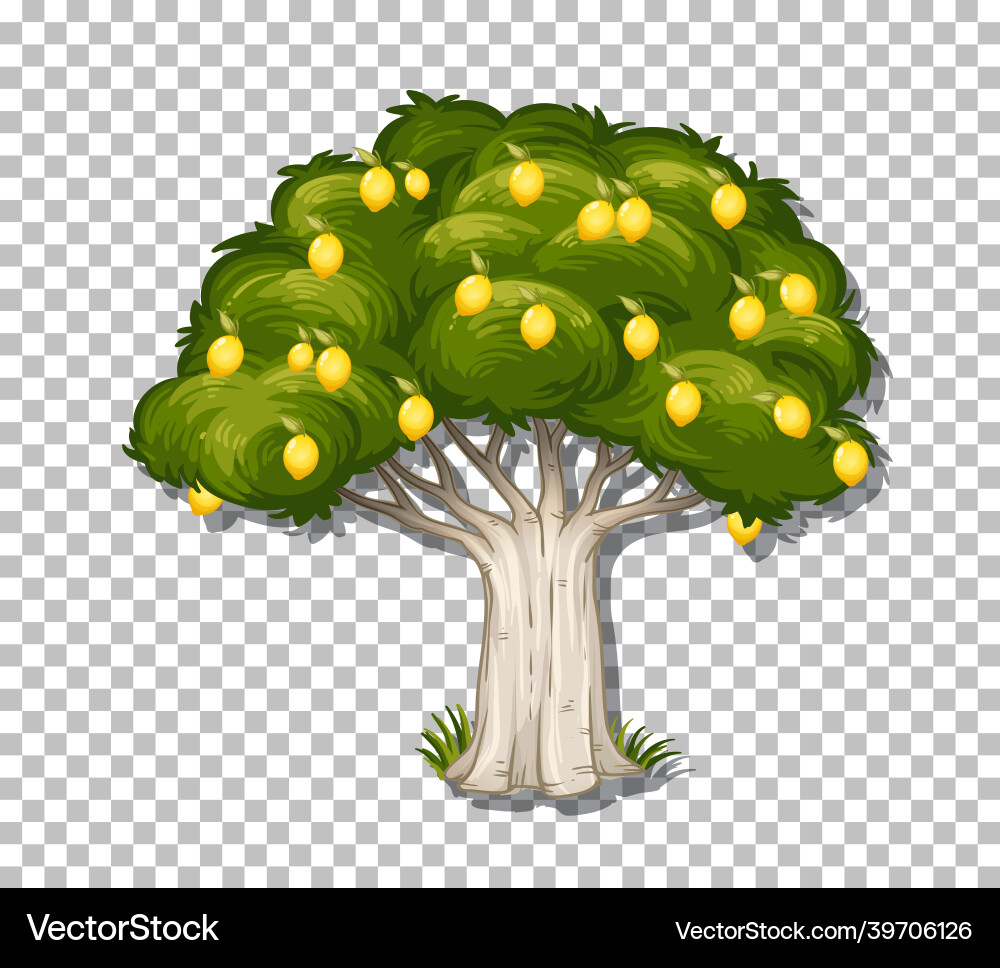 Lemon tree on transparent background Lemon tree on transparent background Vector Image