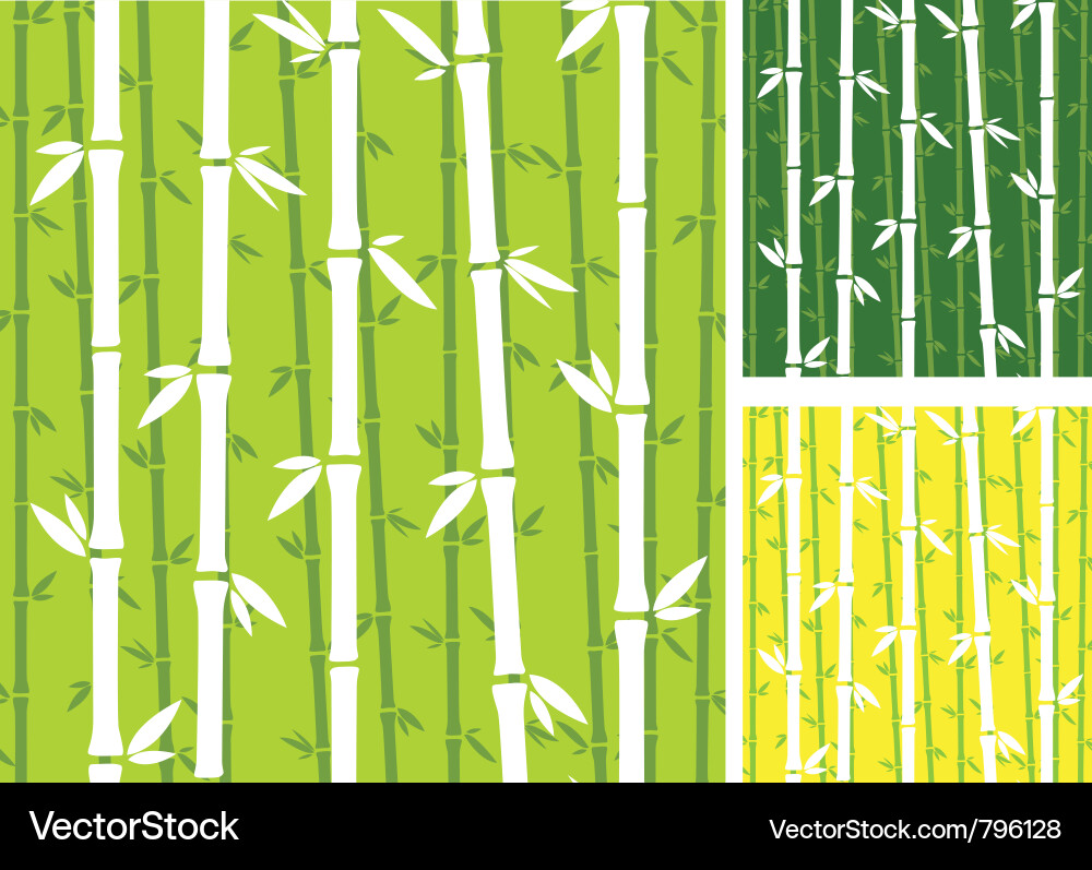 Bamboo Pattern Background Vector Image