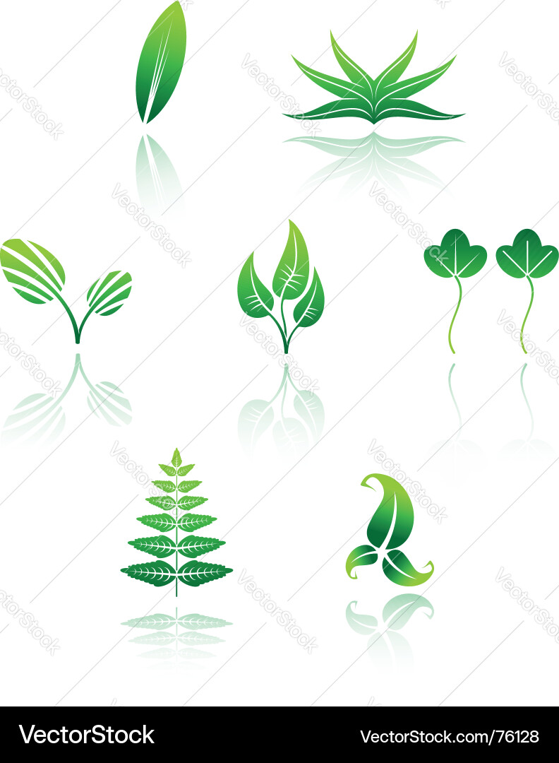 Blatt Icon Set - Grünes Blatt Vektorbild