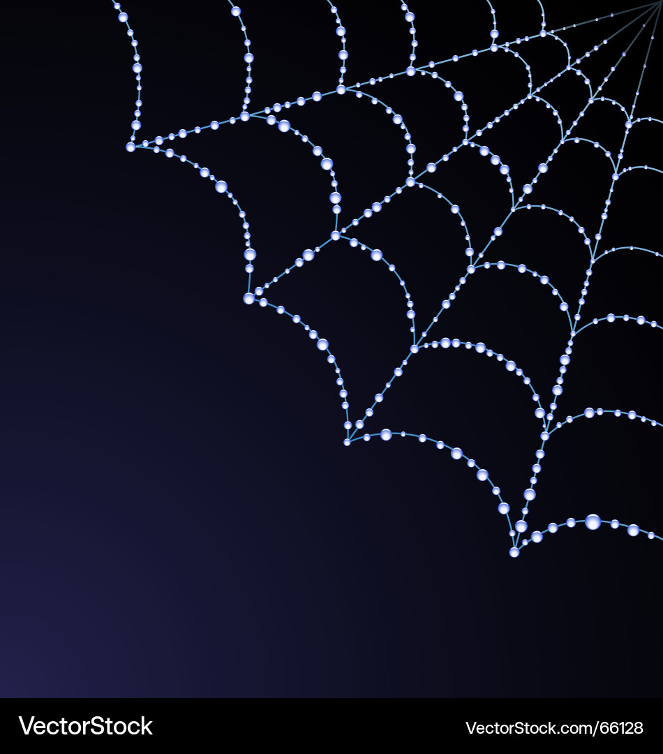 Intricate Spiderweb Vector Image
