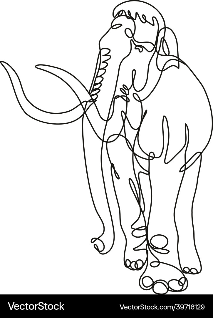 Mammoth elephant walking front view continuous vector image