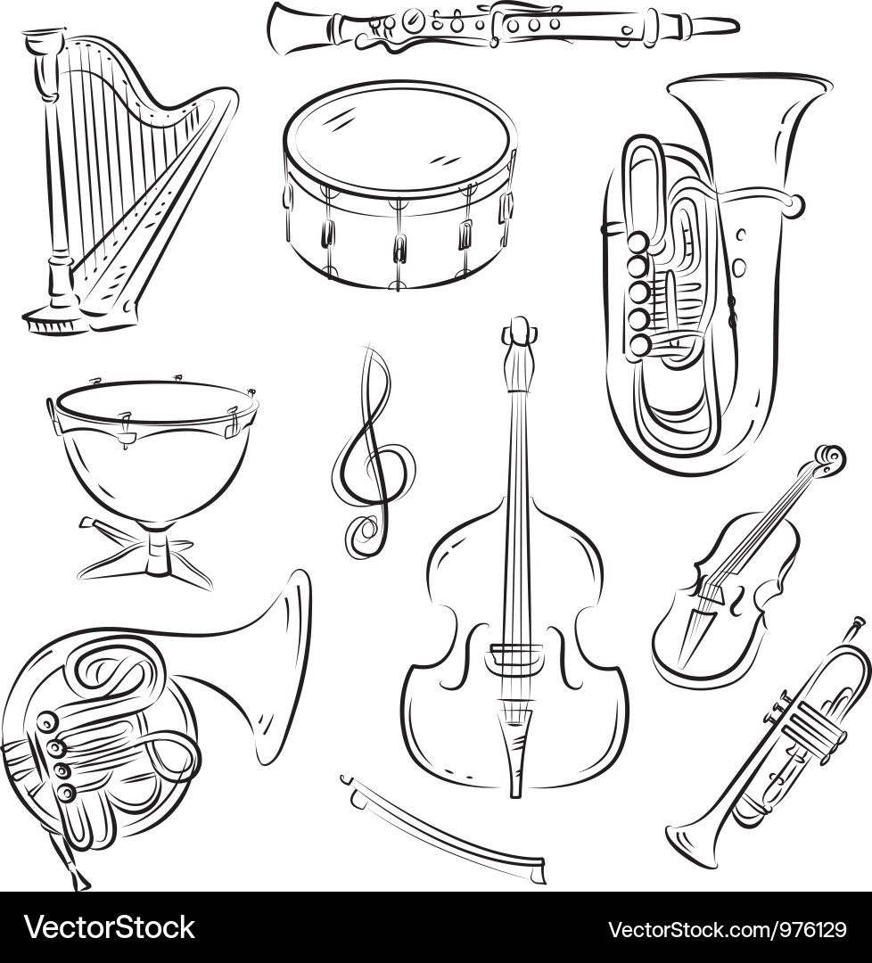 Orchestra Instruments Collection Vector Image
