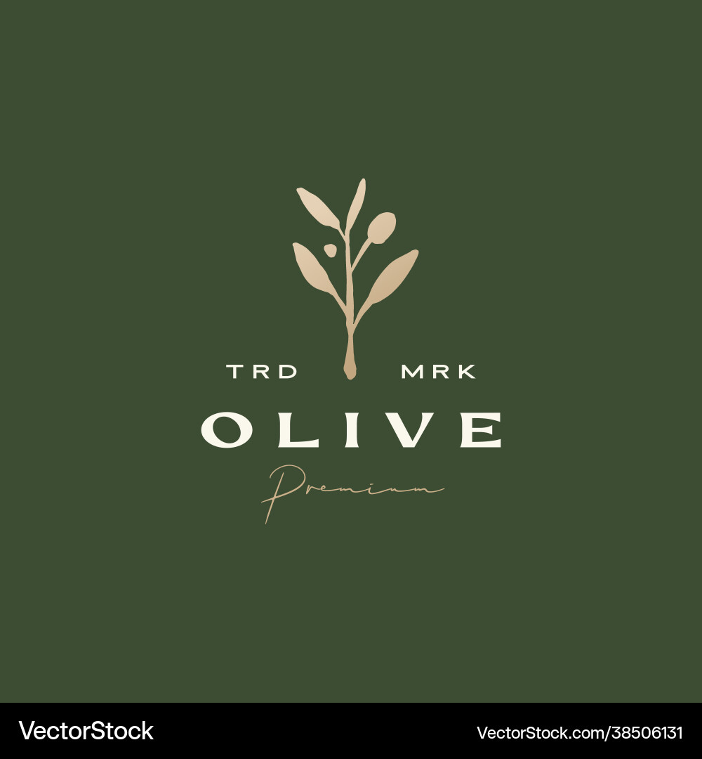 Olive branch sophisticated aesthetic logo icon vector image