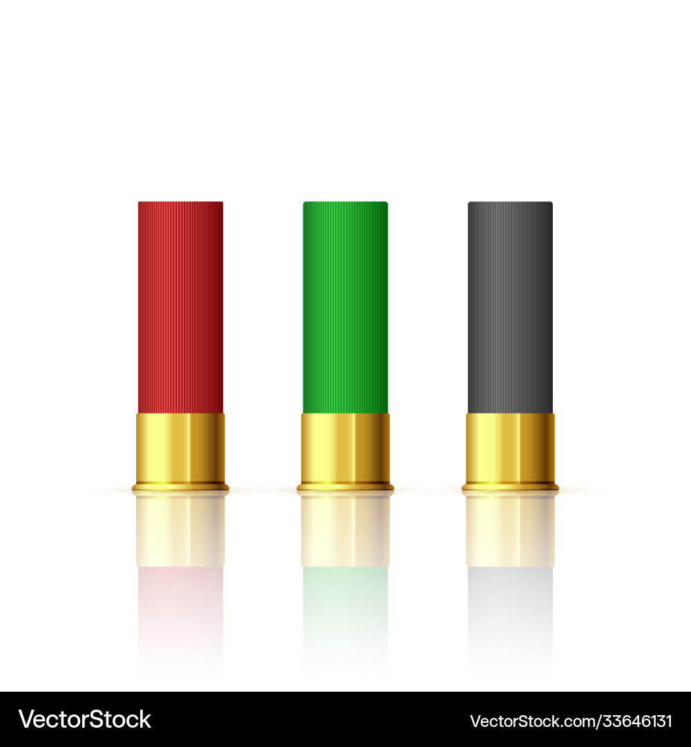 Rifle Bullet Set - Shotgun Cartridges Royalty Free Vector