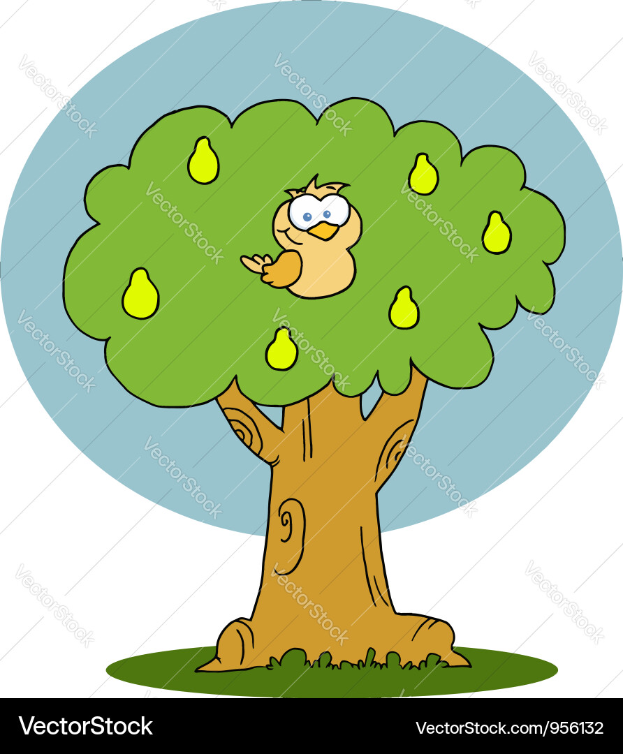 Cheerful Partridge in Pear Tree Vector Image