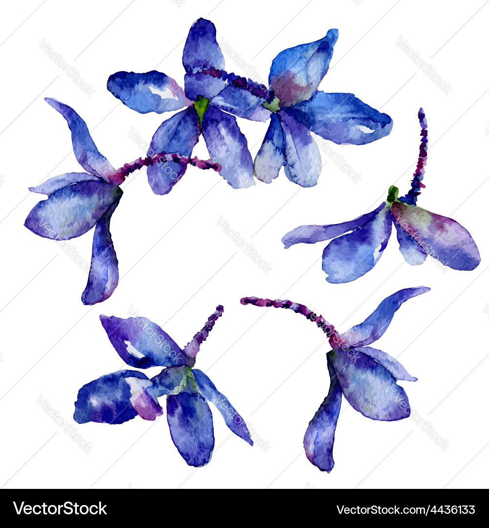 Delphinium Flowers vector image