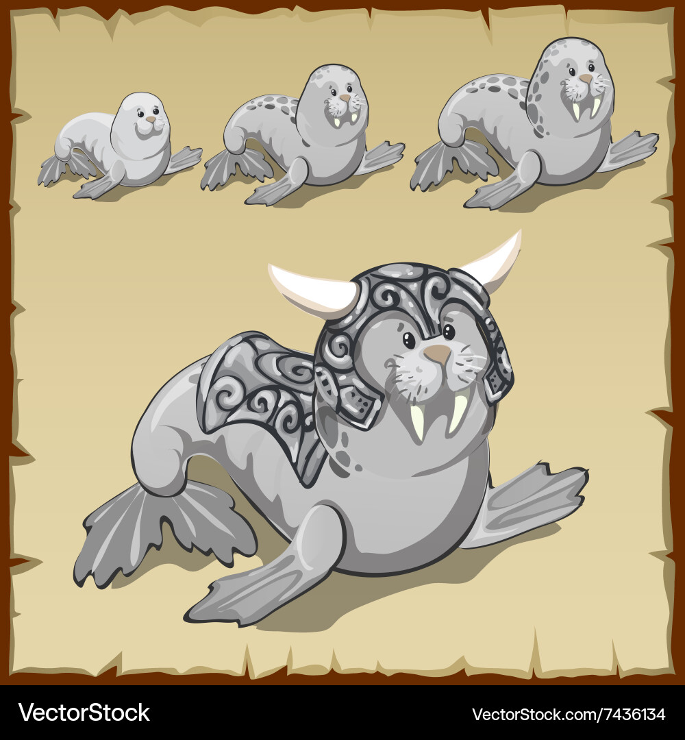 Growth and development of a small walrus Vector Image