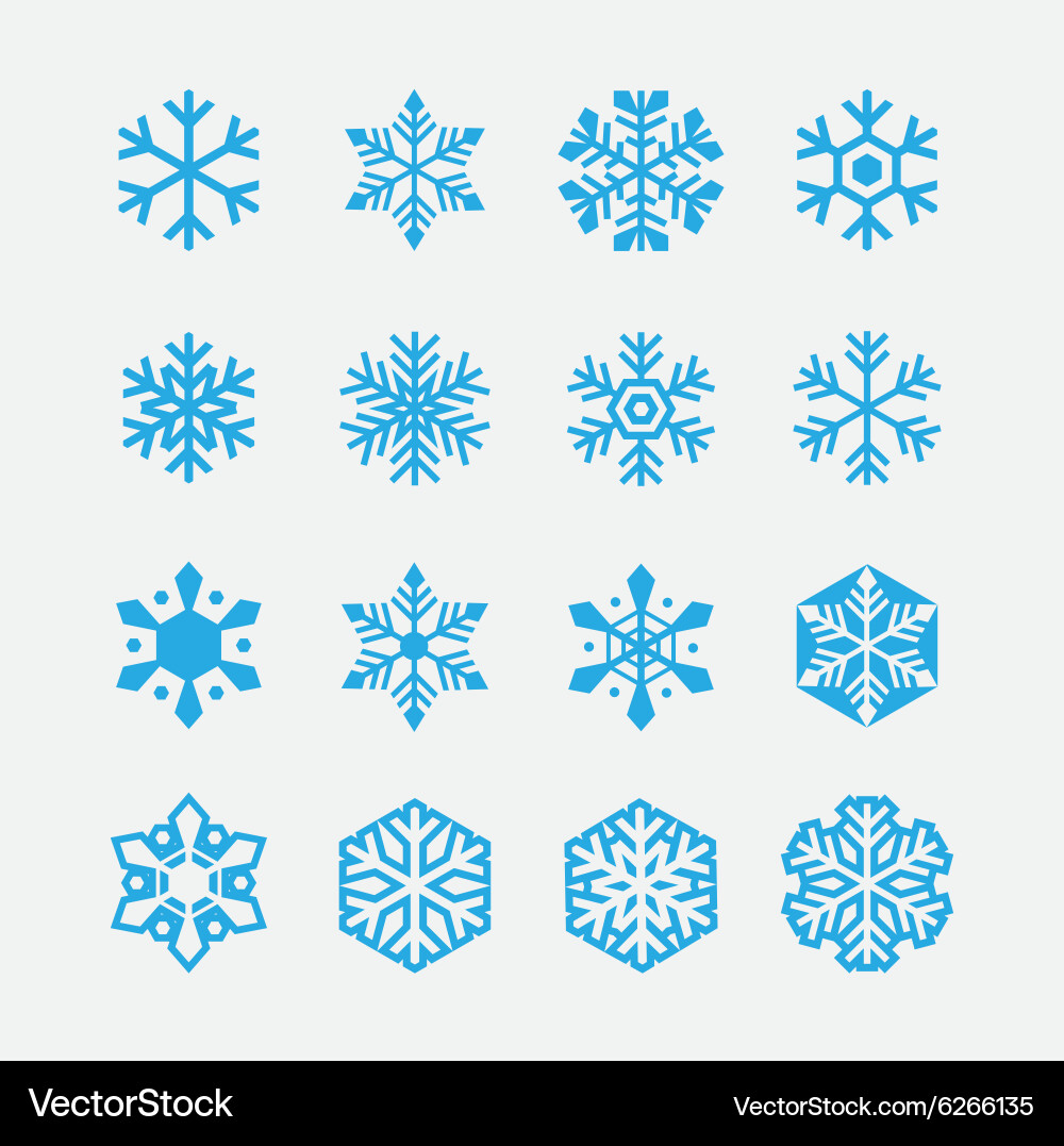 Snowflake Icon Set vector image