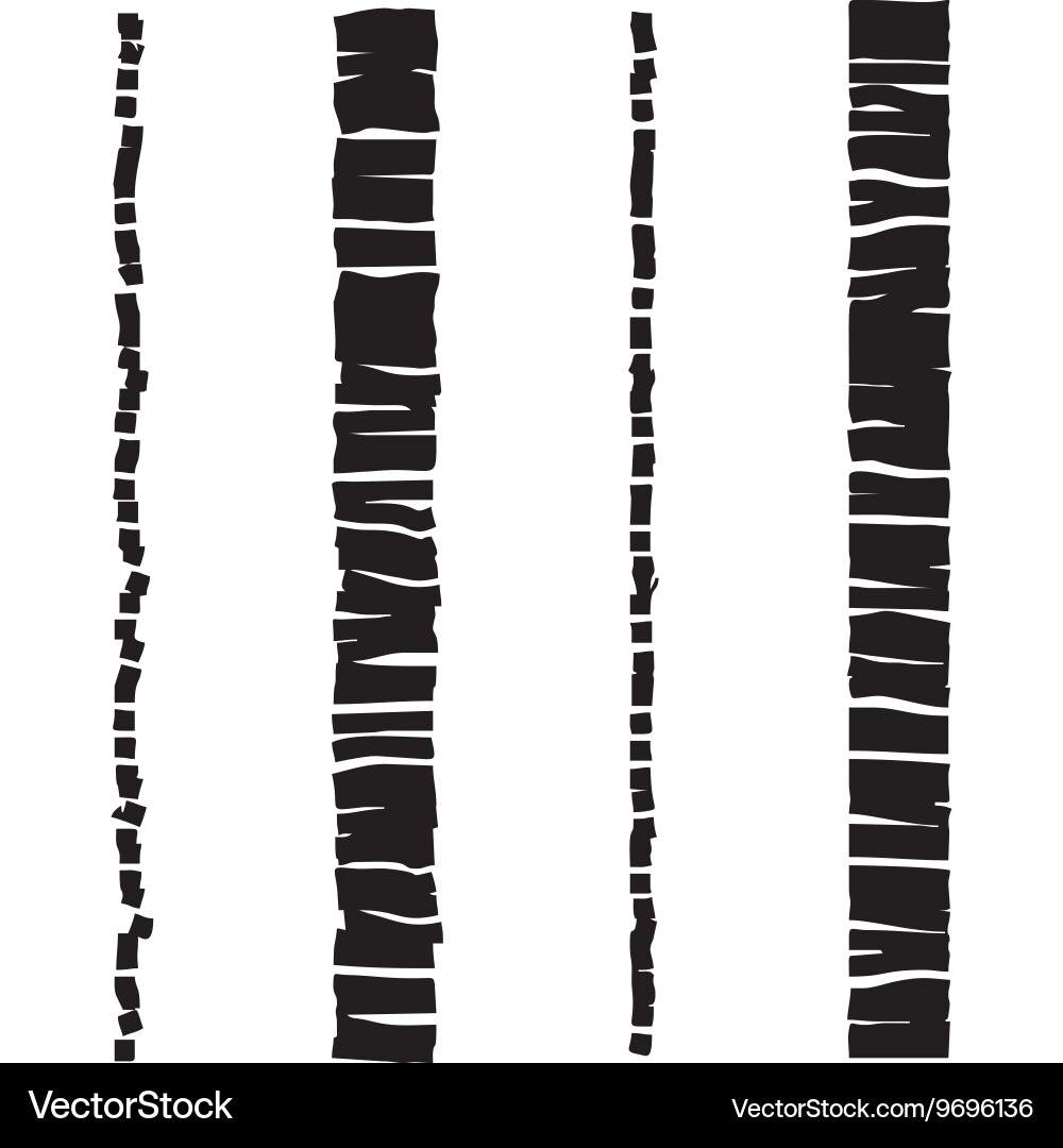 Dotted and Dashed Seamless Pattern vector image