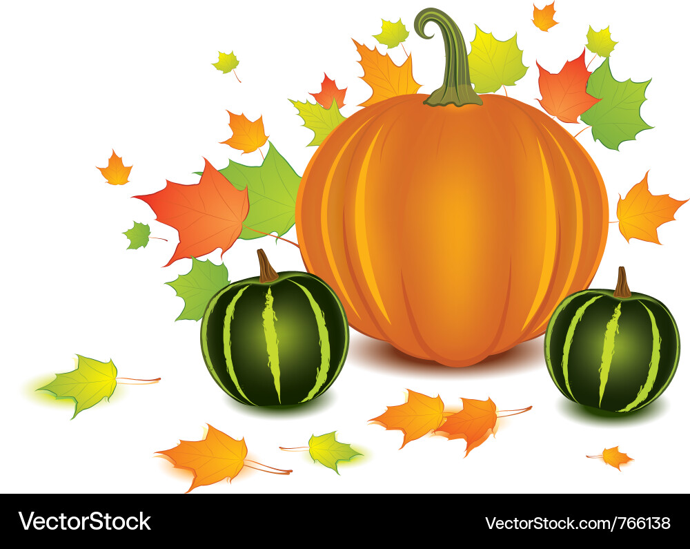 Autumn Pumpkins And Leaves Royalty Free Vector Image