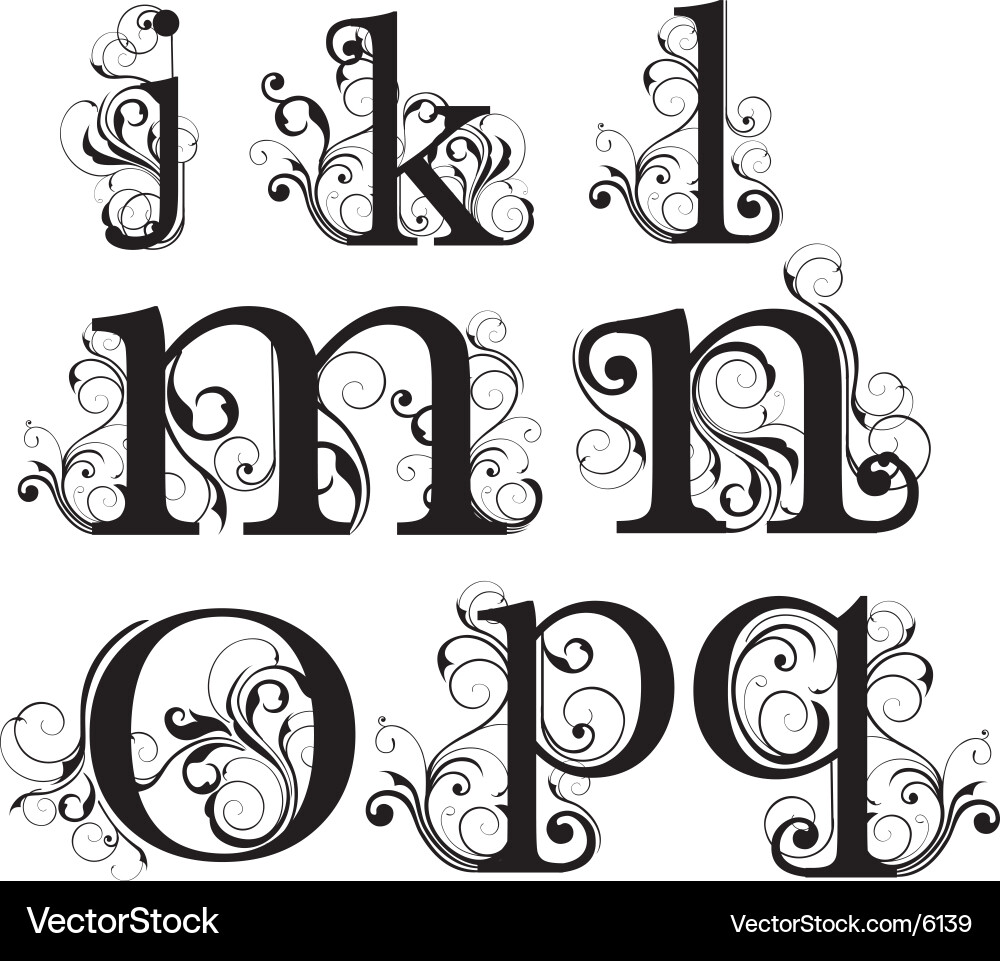 Elegant Script Lowercase Font vector image
