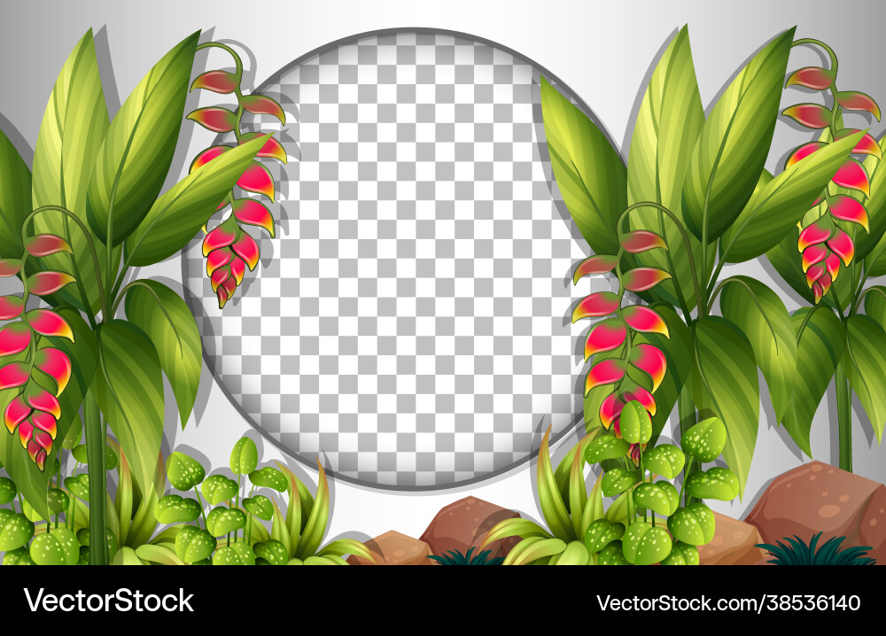 Round frame transparent with tropical leaves vector image