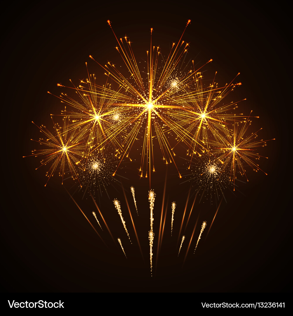 Holiday firework Royalty Free Vector Image - VectorStock