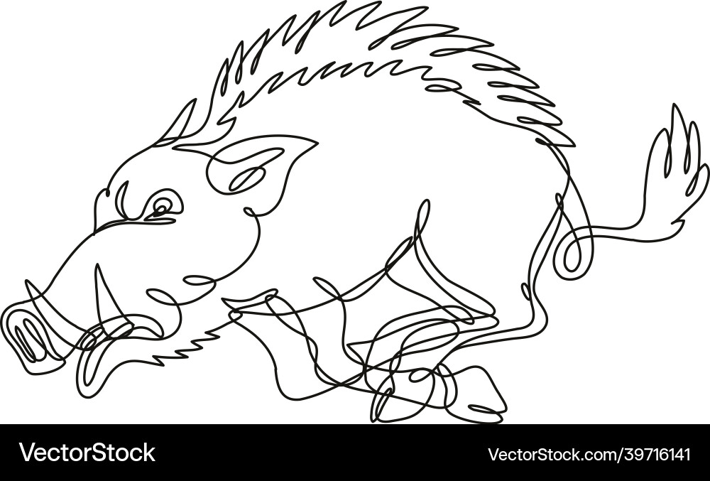 Razorback wild boar running attacking side view Vector Image