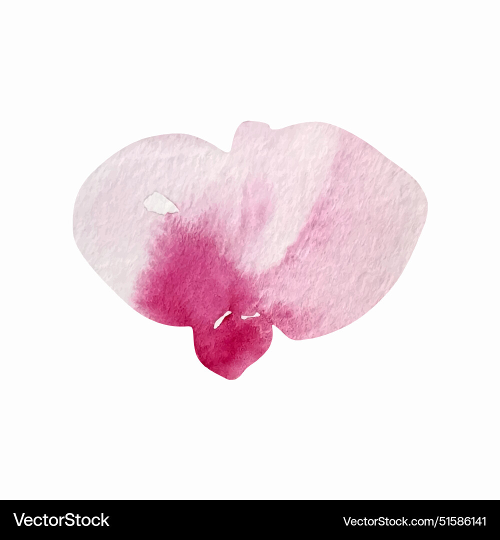 Watercolor abstract pink poppy elegant flowers Watercolor abstract pink poppy elegant flowers vector image