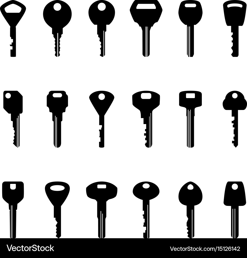 Keys Collection vector image