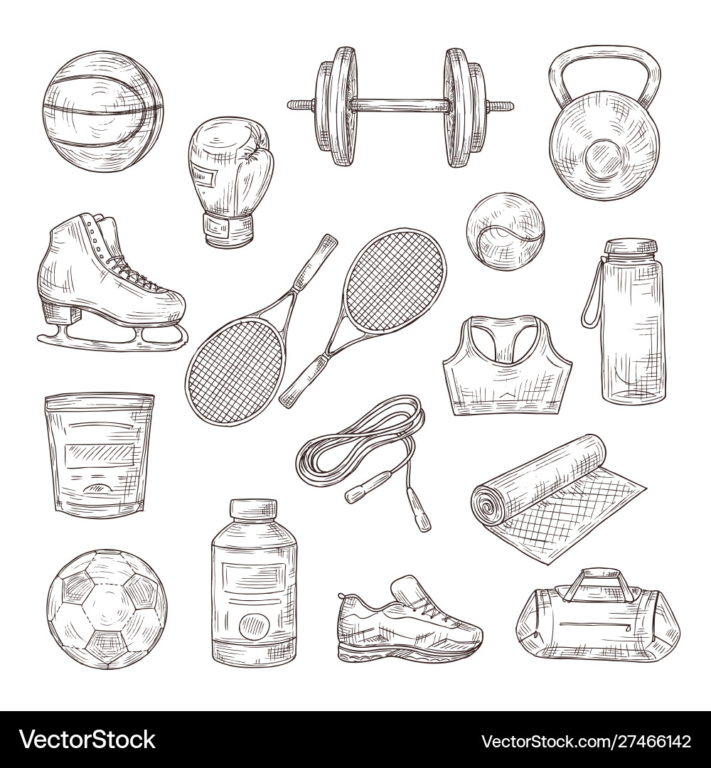 Sketch sports equipment ball dumbbell and tennis Sketch sports equipment ball dumbbell and tennis vector image