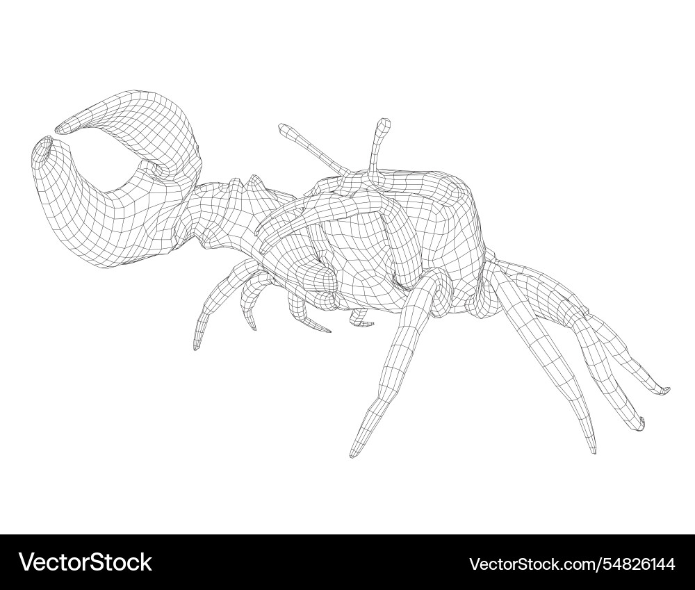 Wireframe of a crab with one huge claw made Wireframe of a crab with one huge claw made Vector Image
