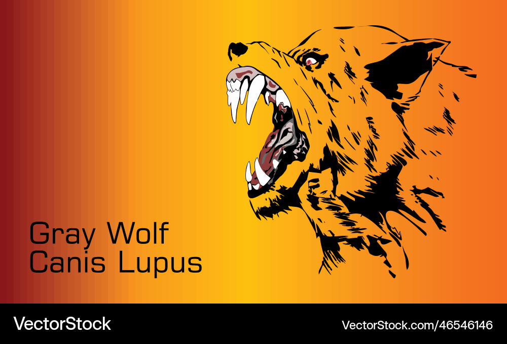 Gray wolf Royalty Free Vector Image - VectorStock