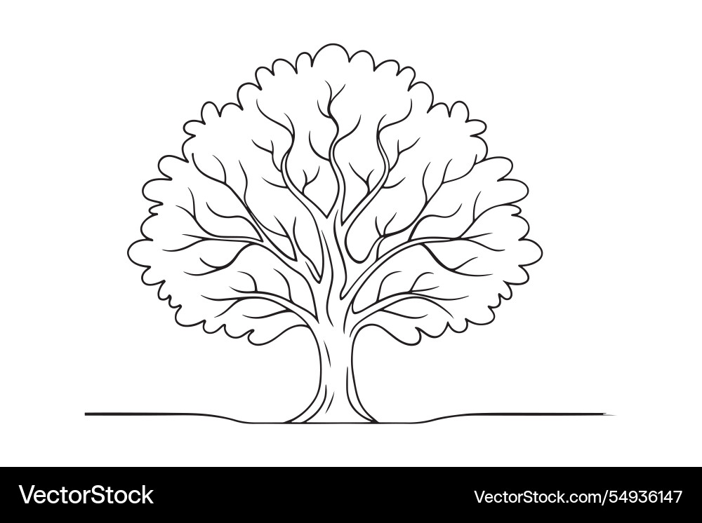 Sycamore tree isolated continuous line art flat Vector Image