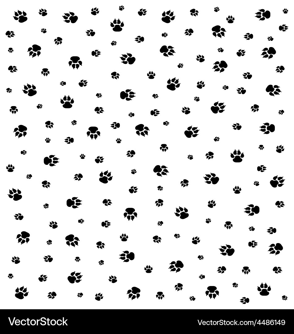 Dog Paw Print Pattern Vector Image