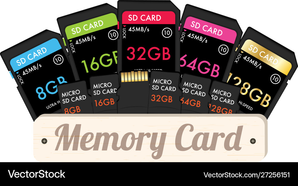 Sd and micro memory card Sd and micro memory card vector image