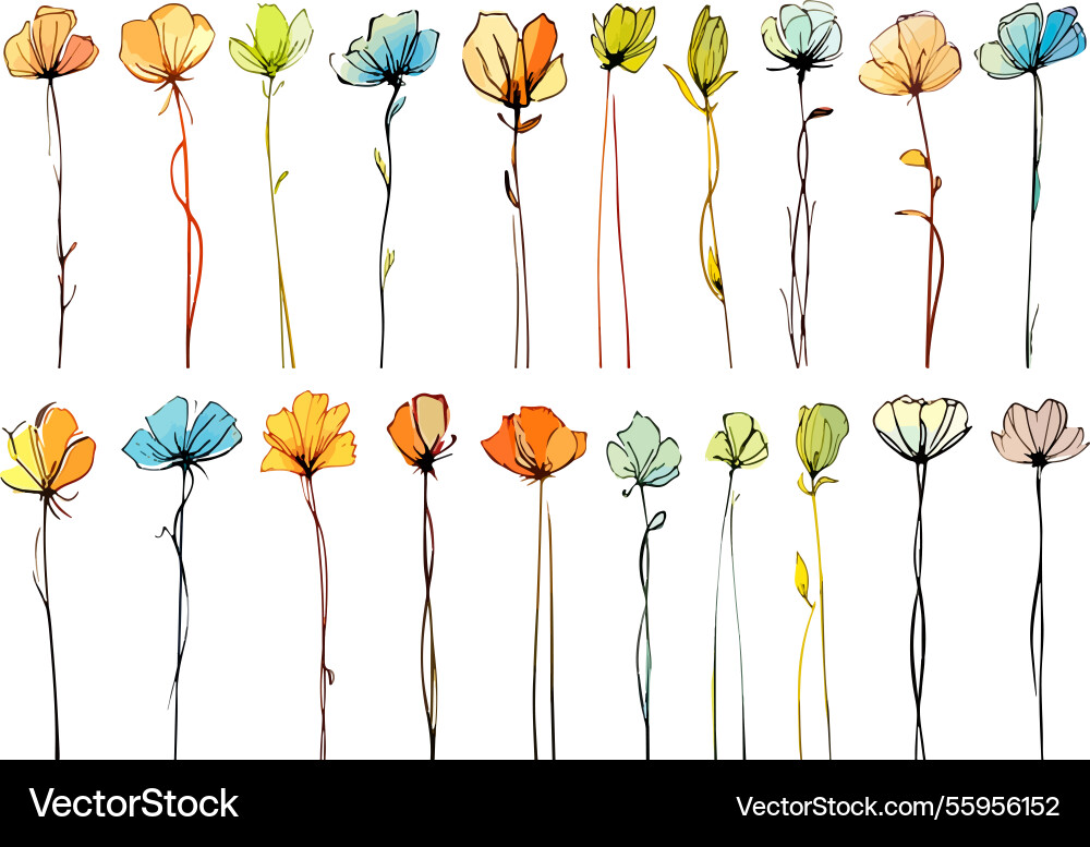 Abstract of meadow flowers freehand ink and color Abstract of meadow flowers freehand ink and color vector image