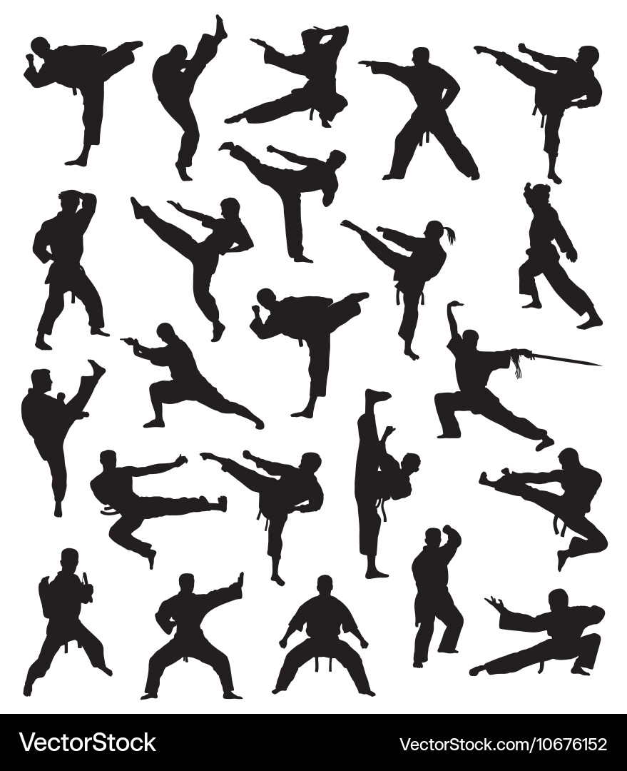 Martial Arts Silhouettes Vector Image