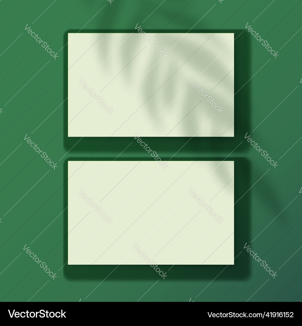 Realistic business cards template with leaves Realistic business cards template with leaves vector image