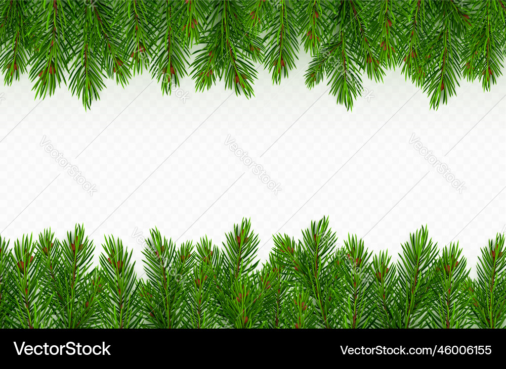 Pine tree branch border green fir twigs frame Pine tree branch border green fir twigs frame vector image