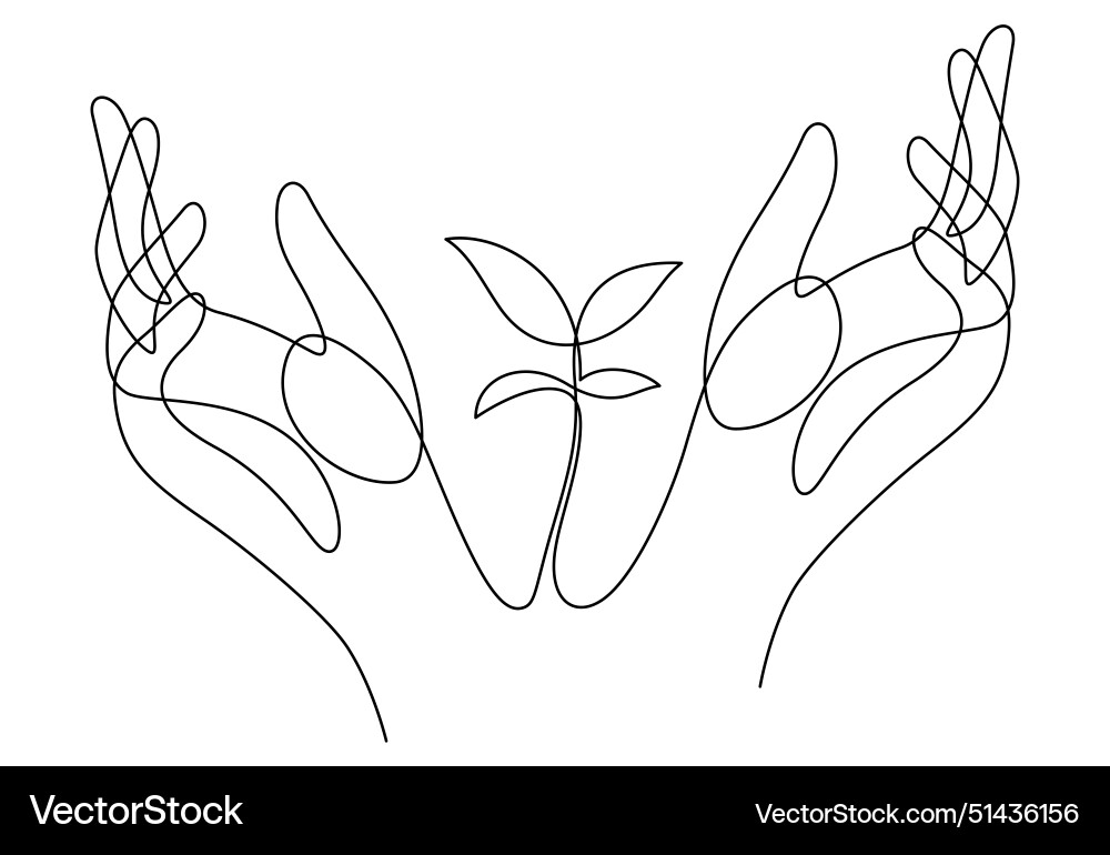 Hands Caring for a Sapling Vector Image