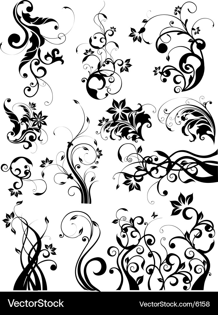 Floral Swirls & Blossoms - Decorative Elements vector image