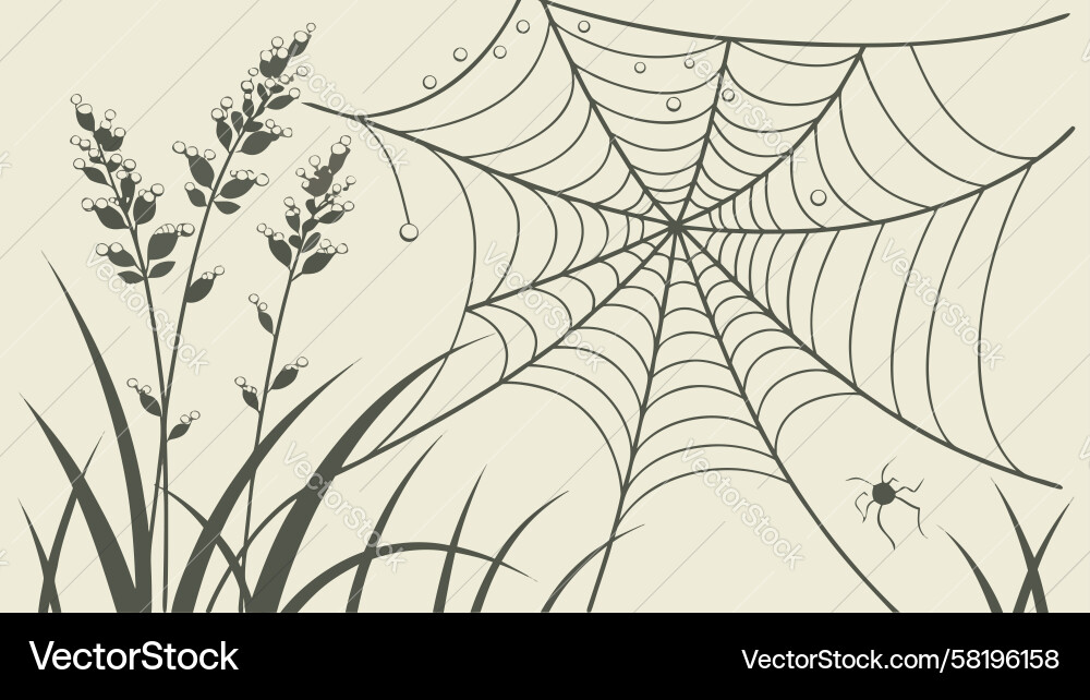 Subtle Grass with Spider Web Pattern Vector Image