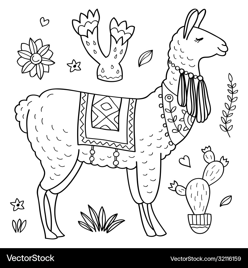 Cute llama Cute llama vector image