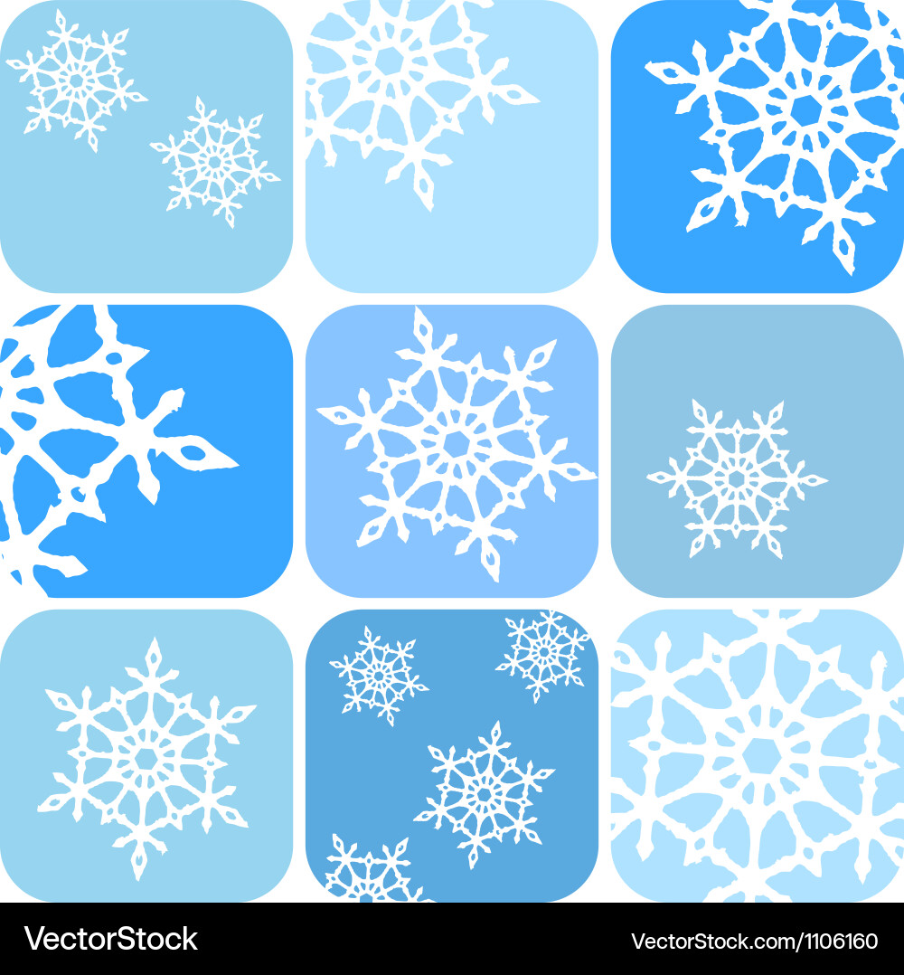 Winter Snowflake Pattern vector image