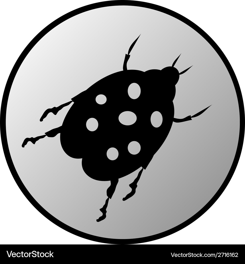 Bug button Vector Image