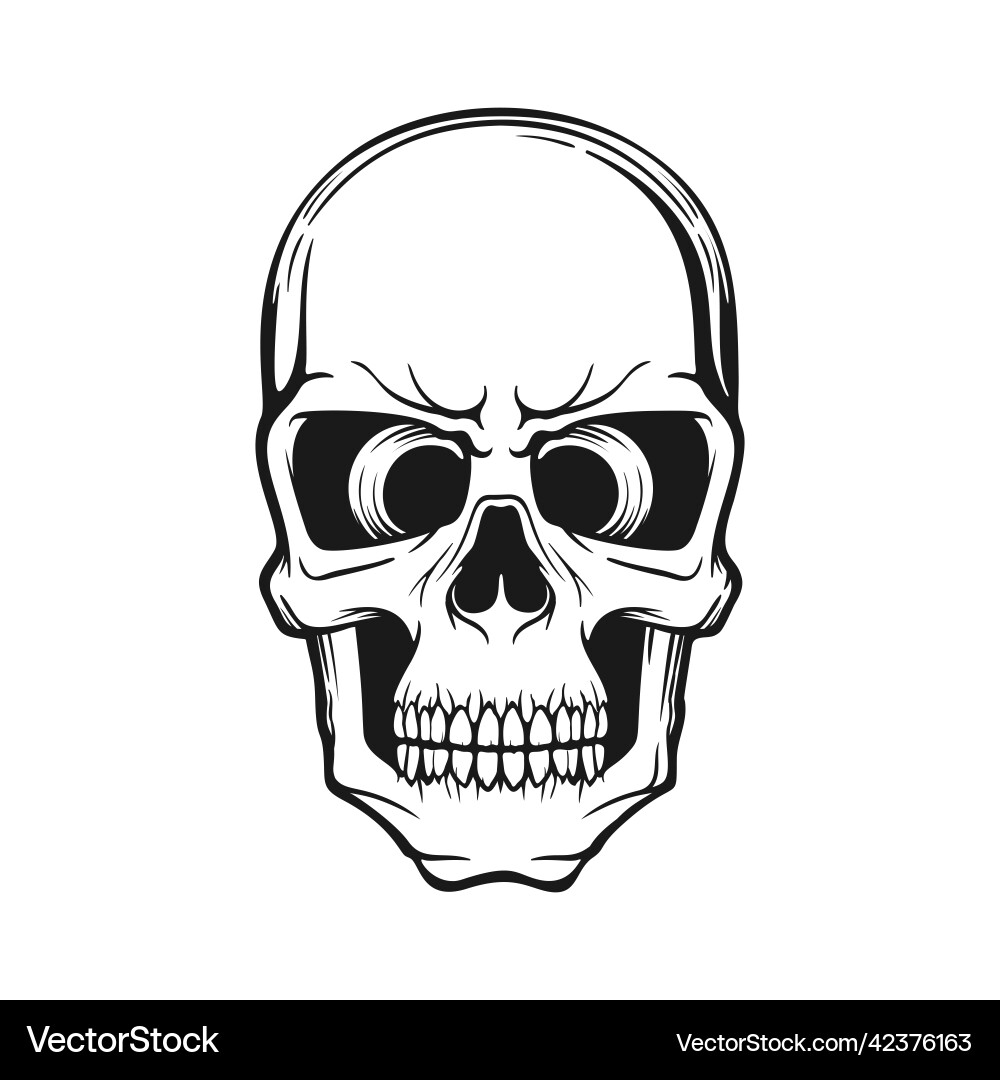 Human skull stylized monochrome logo Vector Image
