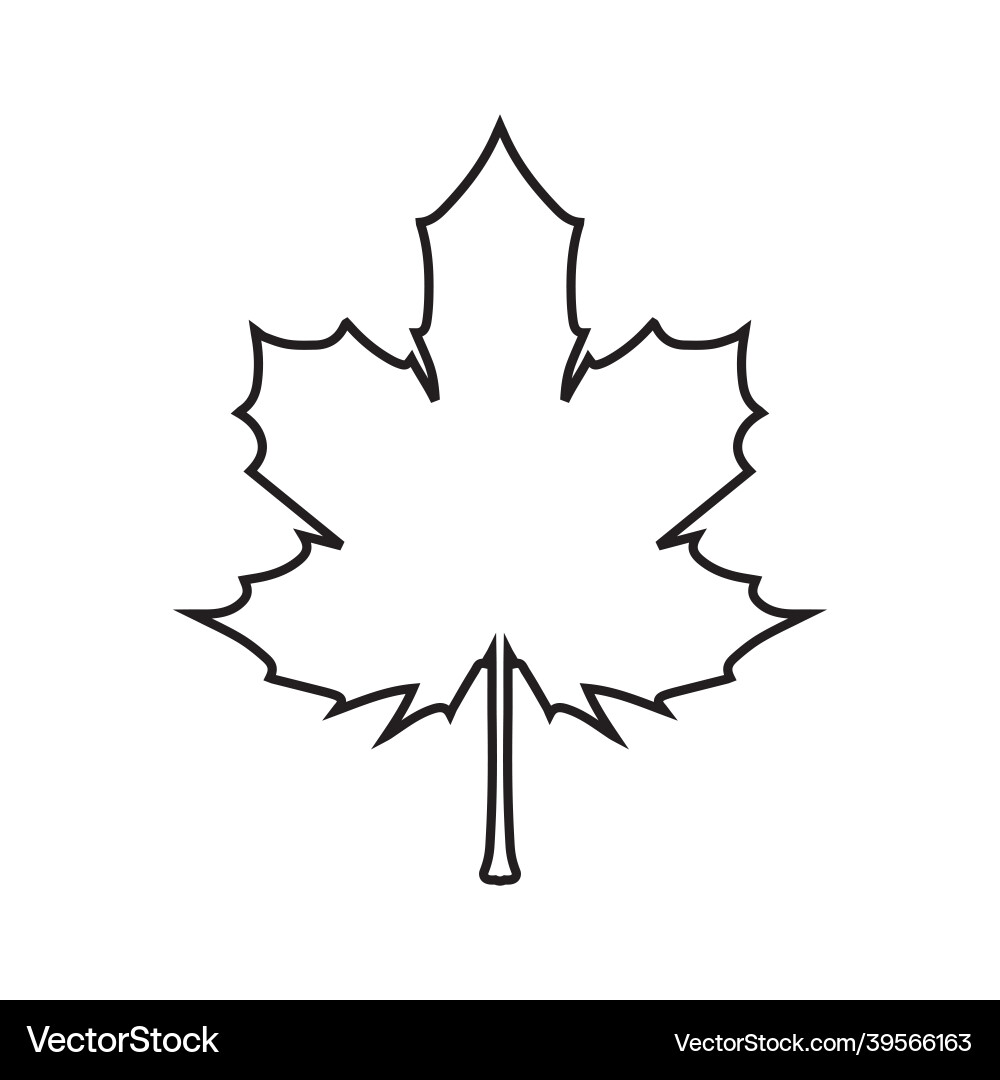 Maple leaf icon Royalty Free Vector Image - VectorStock