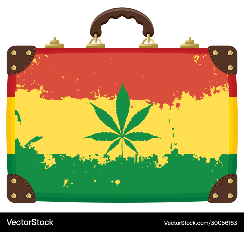 Old suitcase with rasta flag pattern image Old suitcase with rasta flag pattern image vector image