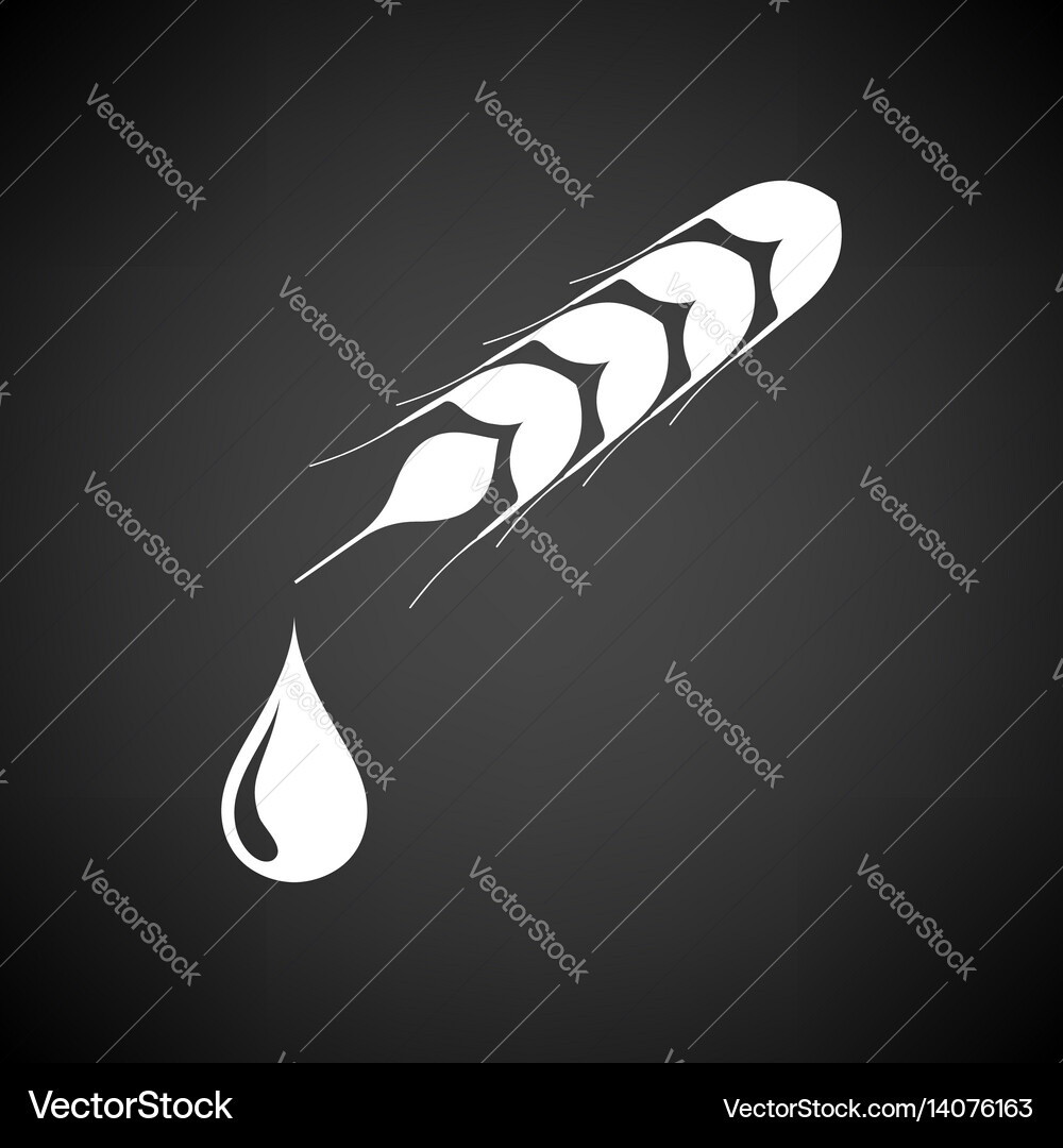 Wheat with drop icon vector image